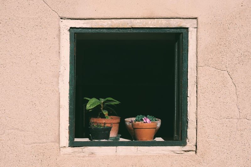 Market Insights